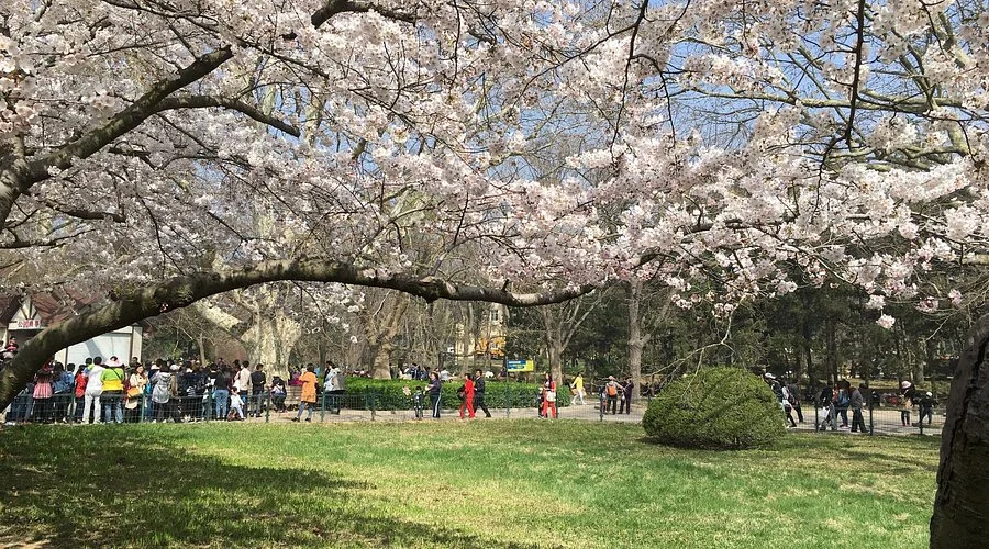  สวนจงซาน (Zhongshan Park Qingdao)